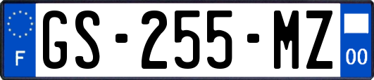 GS-255-MZ
