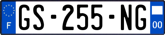 GS-255-NG