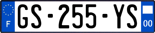 GS-255-YS