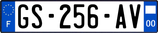 GS-256-AV