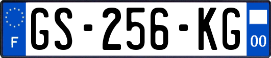GS-256-KG