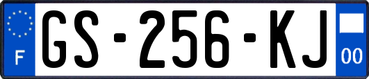 GS-256-KJ