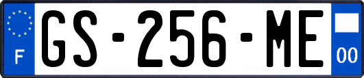 GS-256-ME