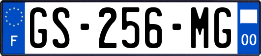 GS-256-MG