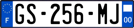 GS-256-MJ