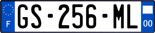 GS-256-ML