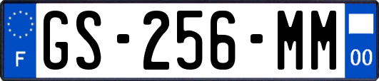 GS-256-MM