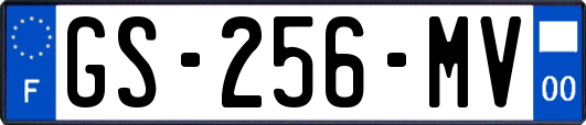 GS-256-MV