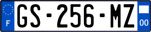 GS-256-MZ