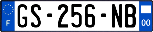 GS-256-NB