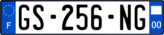 GS-256-NG