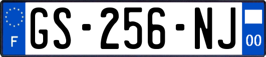 GS-256-NJ