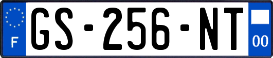 GS-256-NT
