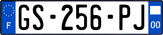 GS-256-PJ