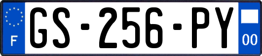 GS-256-PY