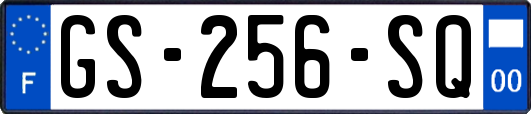 GS-256-SQ