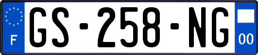 GS-258-NG