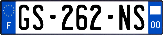 GS-262-NS
