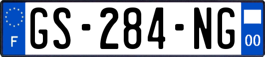 GS-284-NG