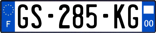 GS-285-KG