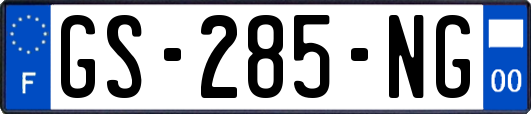 GS-285-NG