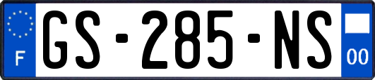 GS-285-NS