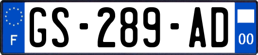 GS-289-AD