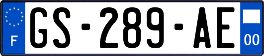 GS-289-AE