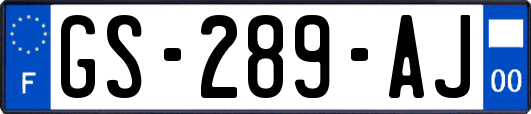 GS-289-AJ