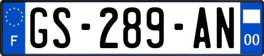 GS-289-AN