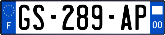 GS-289-AP