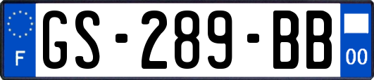 GS-289-BB