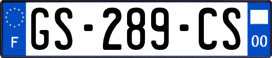 GS-289-CS