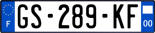 GS-289-KF