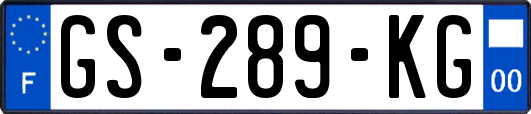 GS-289-KG
