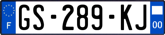 GS-289-KJ