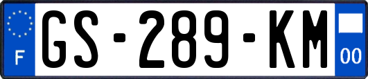 GS-289-KM