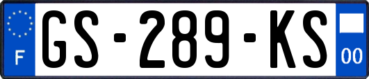GS-289-KS