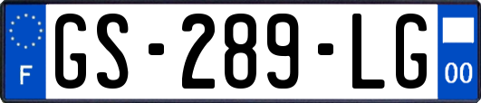 GS-289-LG