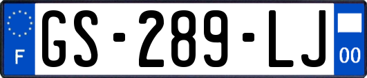 GS-289-LJ