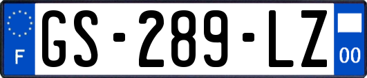 GS-289-LZ