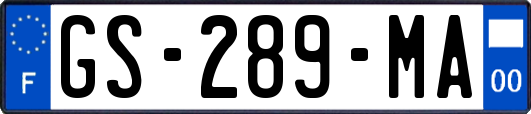 GS-289-MA