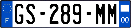 GS-289-MM
