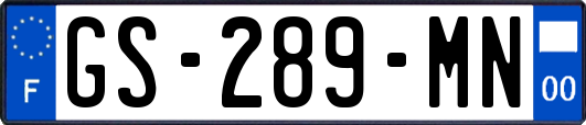 GS-289-MN