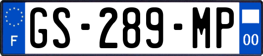 GS-289-MP