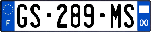 GS-289-MS
