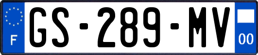 GS-289-MV