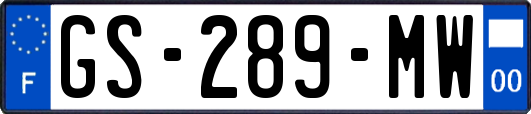 GS-289-MW