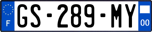 GS-289-MY