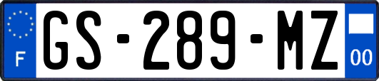 GS-289-MZ